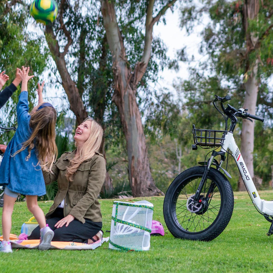 Bison Pro Urban Cruiser