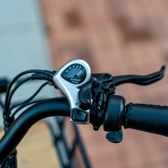 Bison Pro Urban Cruiser